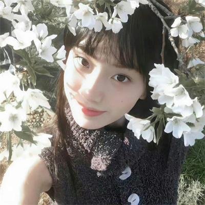 我的武林男友